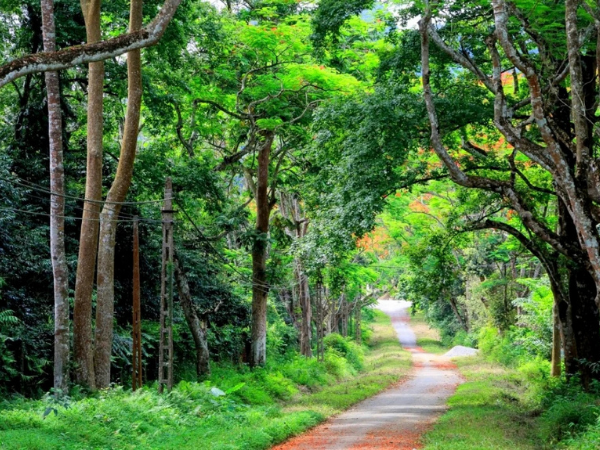 TOUR LUJOSO DE AVENTURA EN VIETNAM DE 11 DÍAS